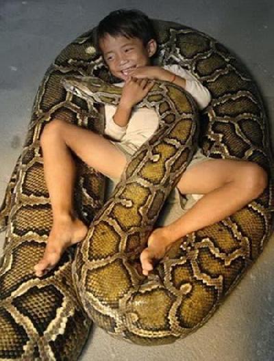 Dowcipy, kawały, żarty