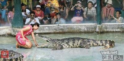 Animals funny 30