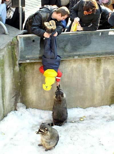 Babies children cool 22