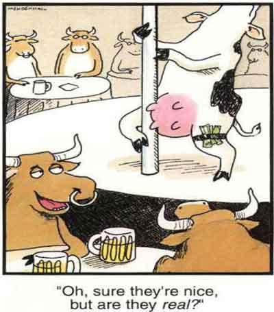 Humor cool 45