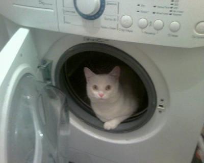 Anekdotai ir juokeliai