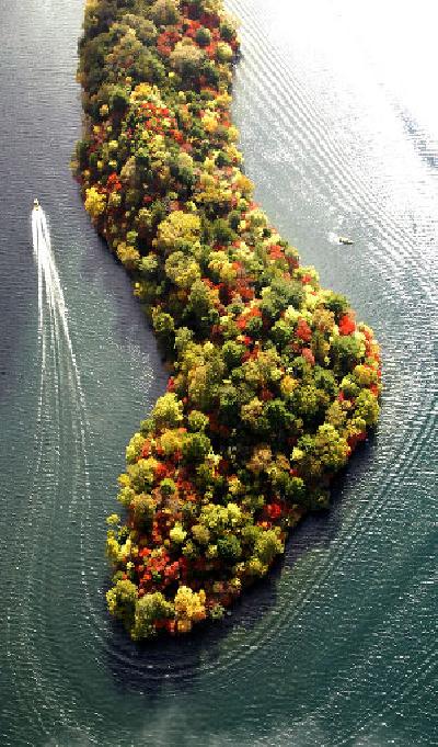 Nature crazy 4