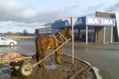 Dowcipy, kawały, żarty